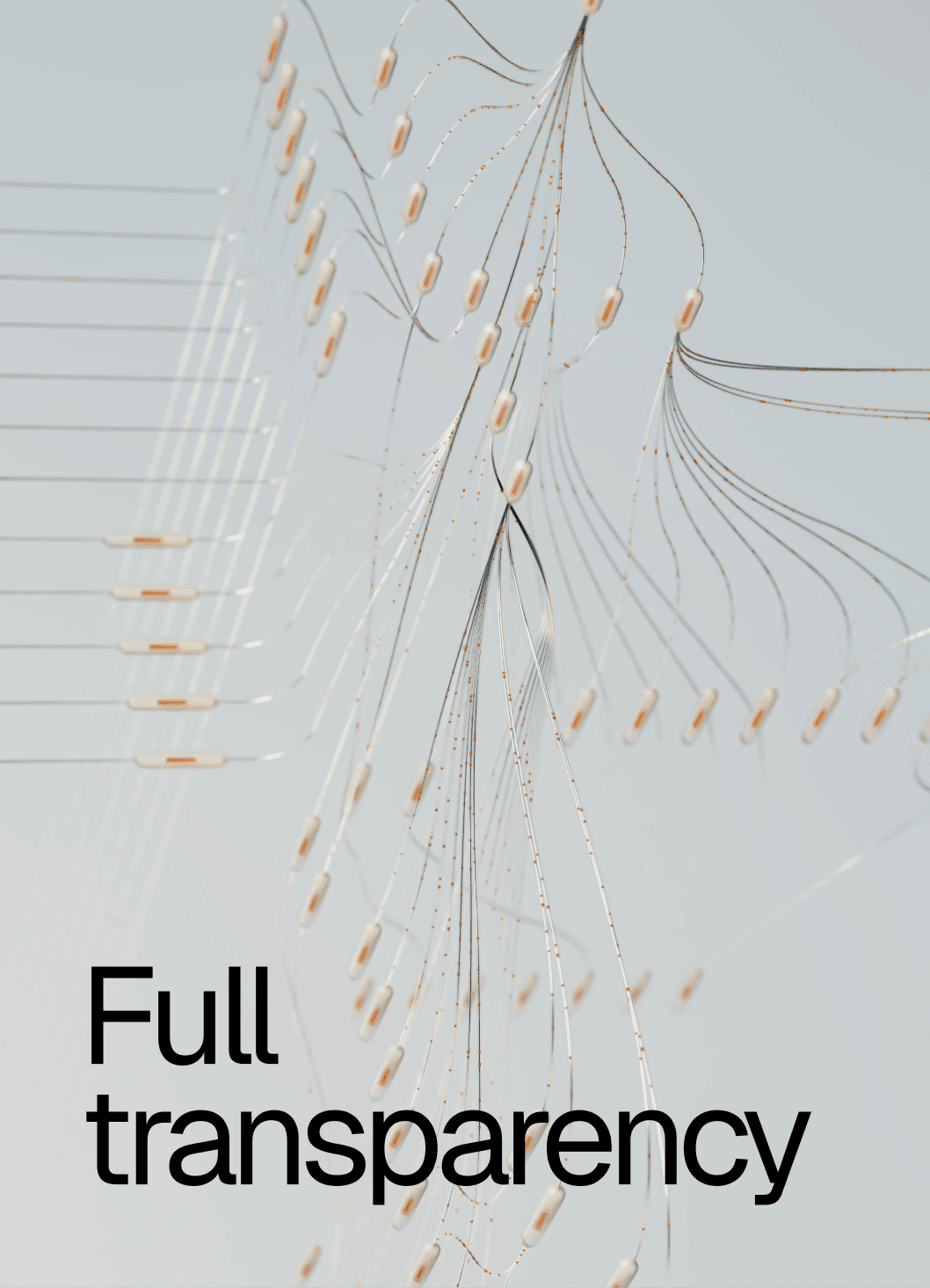 Project image 7